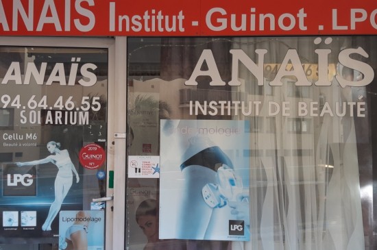 ANAIS INSTITUT