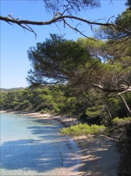 VEDETTES ILES D'OR ET LE CORSAIRE - Île de Porquerolles