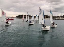 YACHT CLUB CAVALAIRE - OPTIMIST