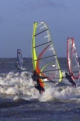 YACHT CLUB CAVALAIRE - PLANCHE A VOILE 