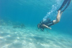 TIKI DIVE - Nautisme Cavalaire-Sur-Mer